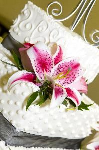 Heidi Wood Photography