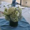 Gorgeous Weddings & Events