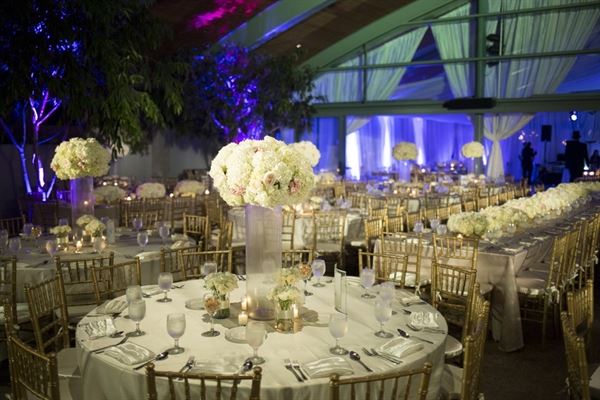 Pärde Productions - Parde Productions - Event Lighting & Special Effects