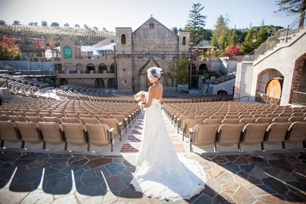 The Mountain Winery