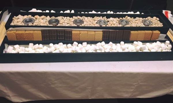 Lisa Maria's Party Servers