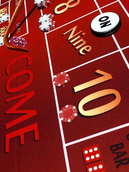 FloridaFunCasinoParty LLC