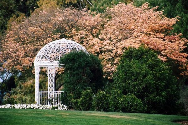 South Coast Botanic Garden