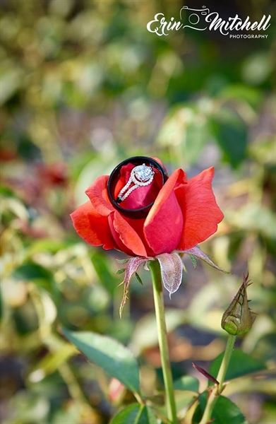 Erin Mitchell Photography