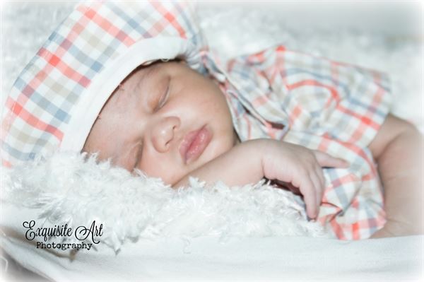 Exquisite Art Photography