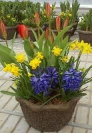 Crown Floral Boutique