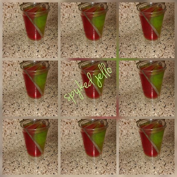 Spyked Jello/In The Mixx Mobile Bartending