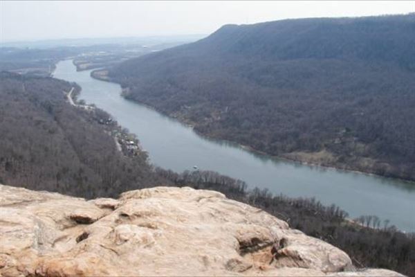 Farmers Daughters, LLC