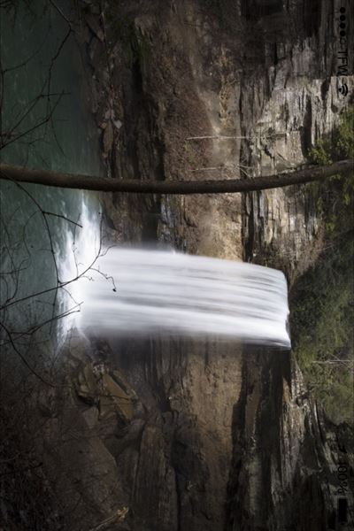 Farmers Daughters, LLC