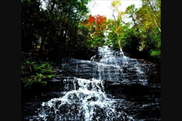 Farmers Daughters, LLC