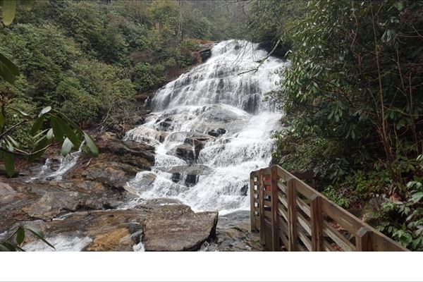 Farmers Daughters, LLC