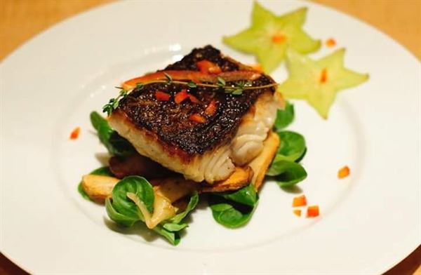 TDenton Style Consulting