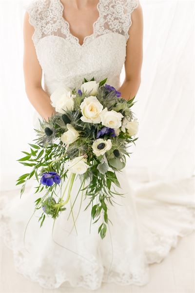 Blue Orchid Events & Design