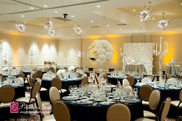 Professional Image Photography & Video