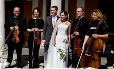 ELITE MUSIC EVENTS - Pro MC DJ's, Lighting, Solo Musicians, Live Show Bands & Variety Entertainment