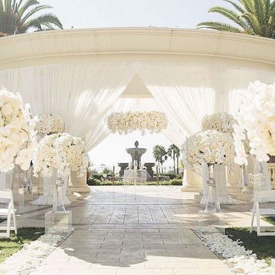 Ambrosia Event Party Equipment Services