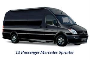 Ambrosia Event Transportation Services