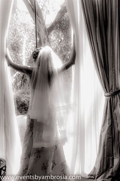 Ambrosia Event Photography