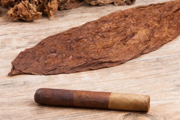 Riguel Dorta Photography Product and Food Photography