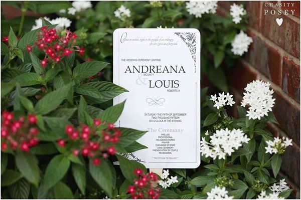 Swanky Productions LLC