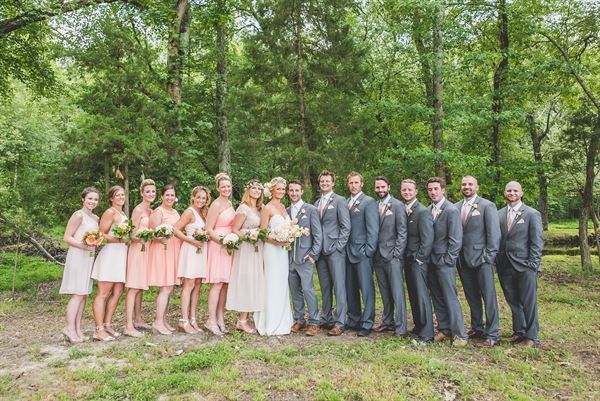 DiMeo Farms & Blueberry Plants Nursery