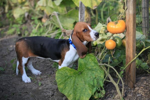 Old Soul Productions