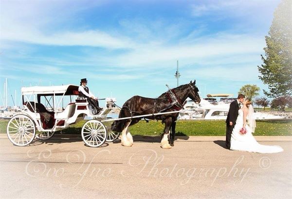 Black Tie Carriage Service