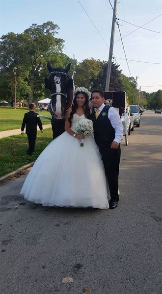 Black Tie Carriage Service