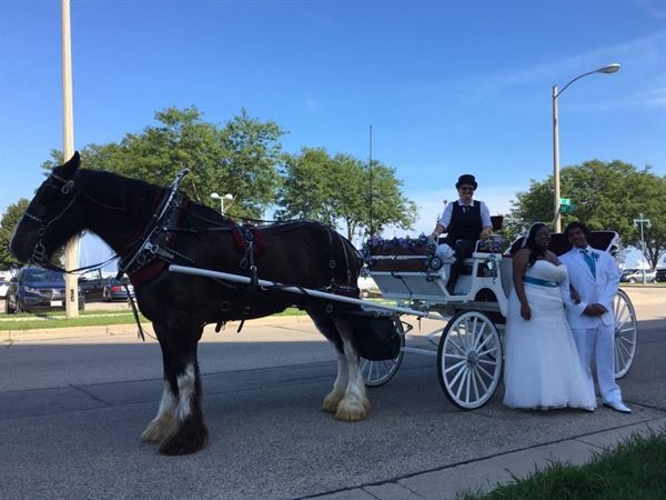 Black Tie Carriage Service