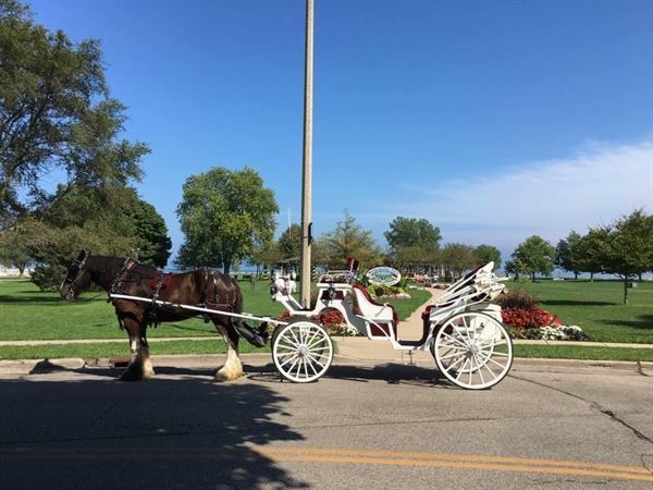 Black Tie Carriage Service