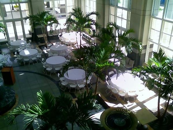 Absolute Party Rental