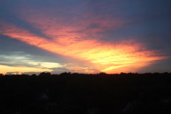 LOU THE PHOTO GUY LLC