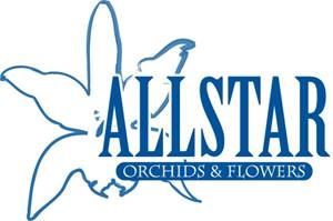 ALLSTAR ORCHIDS & FLOWERS