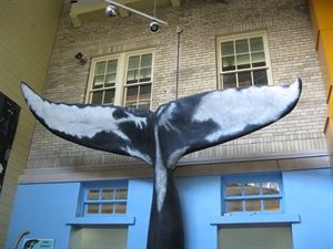 Carol and Bud Johnston Atrium of Excellent Adventures, Main Atrium and first floor galleries