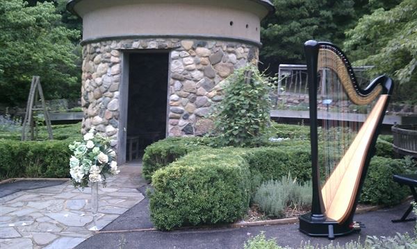 Devon Carpenter, Harpist