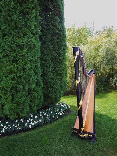 Devon Carpenter, Harpist