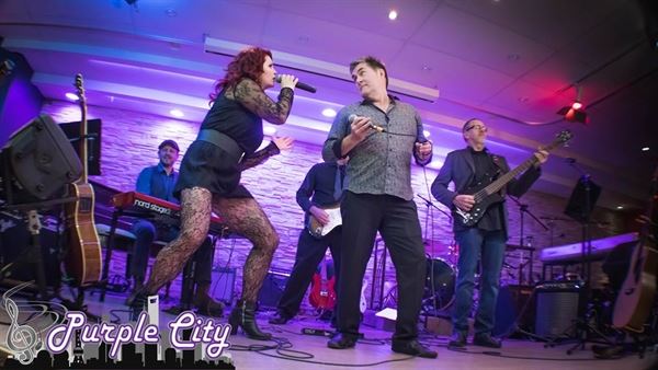 Purple City - Classic Pop and Dance Band