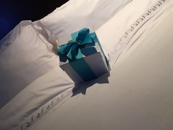 JSL Meeting & Event Group Inc.