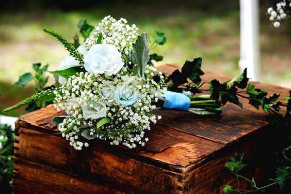 Heather Salberg Photography