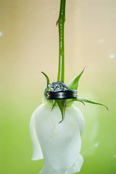 Heather Salberg Photography