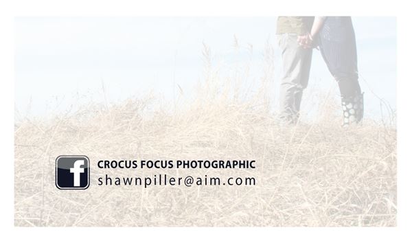 Crocus Focus Photographic
