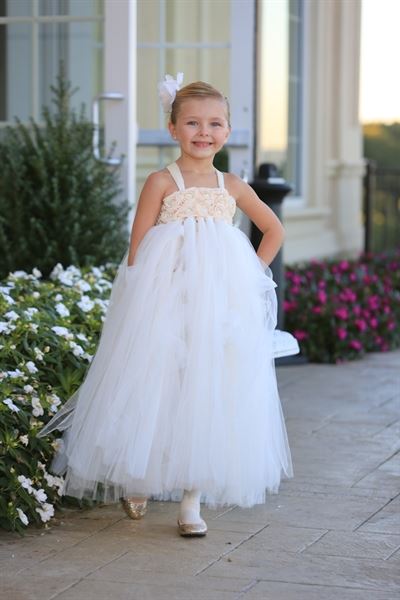 Driscoll Photography