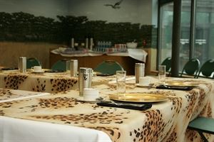 Safari Room