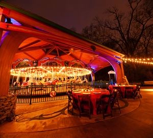 Wild Animal Carousel