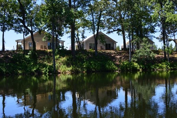 Cape Fear Vineyard and Winery