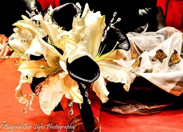 Beyond Our Sight Photography