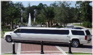 Daytona Limos
