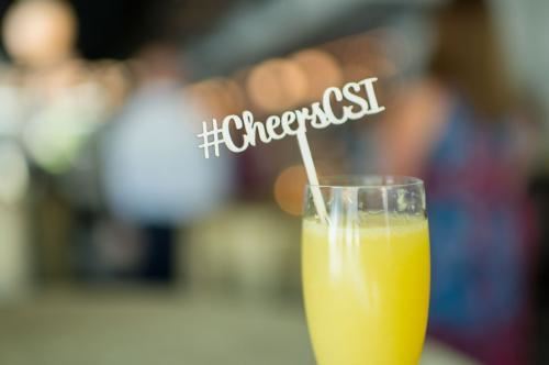 Capitol Services Inc