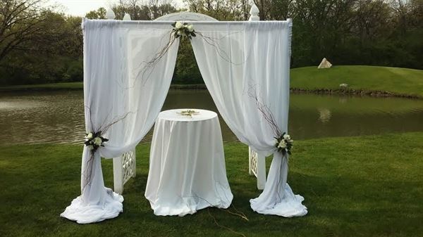 Annie Occasion for Any Occasion