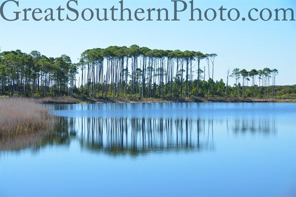 Great Southern Photo